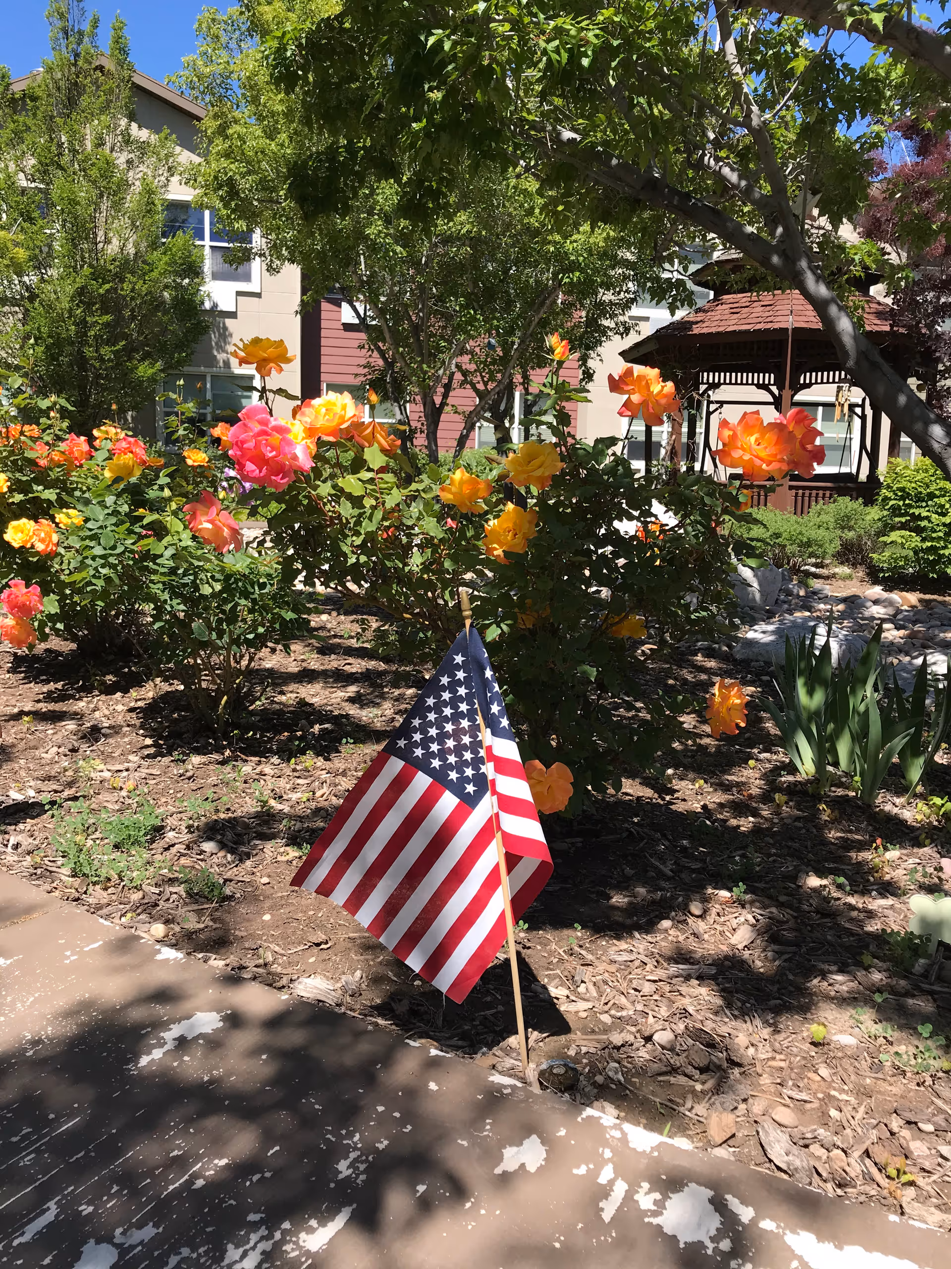 A garden area with blooming yellow and pink roses, an American flag planted in the soil, trees providing shade, and a gazebo in the background. A building with windows is partially visible behind the garden.