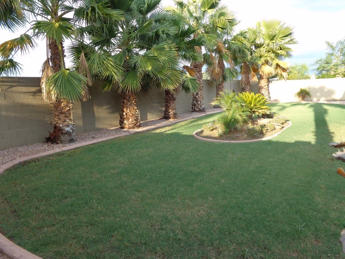 A well-maintained outdoor garden area with green grass, a row of palm trees along a brick wall, and a small landscaped island with various plants.