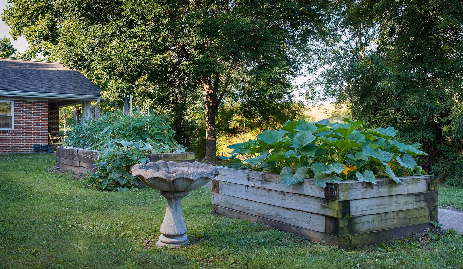 Outdoor garden area with raised wooden garden beds filled with green plants and a stone birdbath in the foreground. A brick building with a covered porch and chairs is visible on the left side, surrounded by trees and grass.