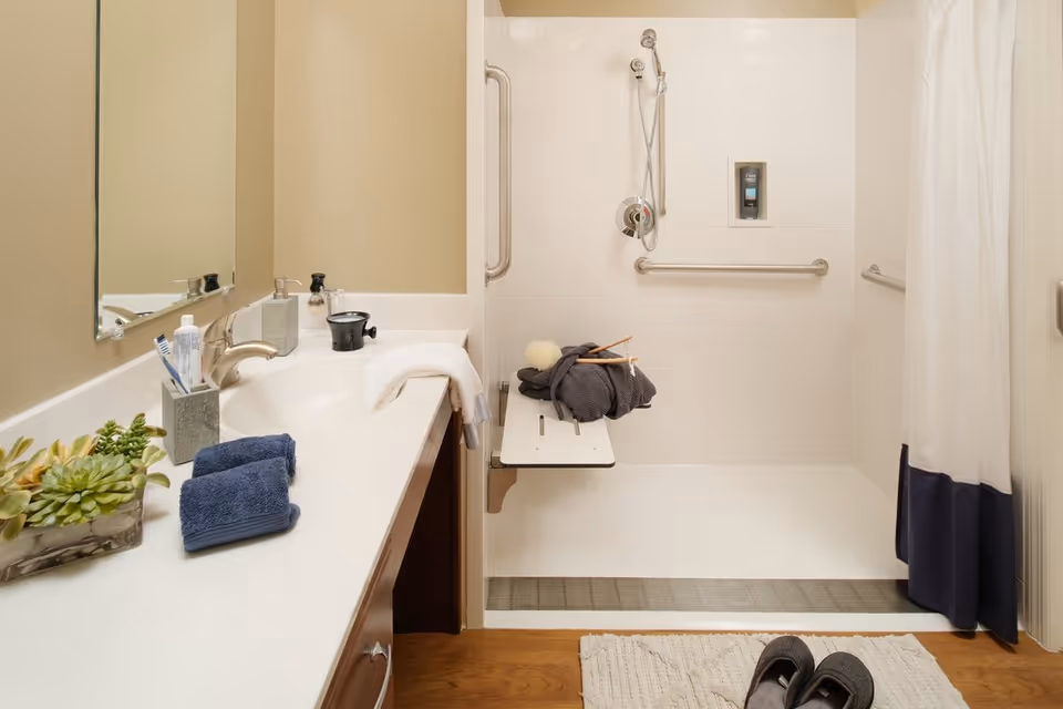 Accessible bathroom with a sink and countertop, towels and plants, and a walk-in shower featuring a fold-down seat and grab bars.