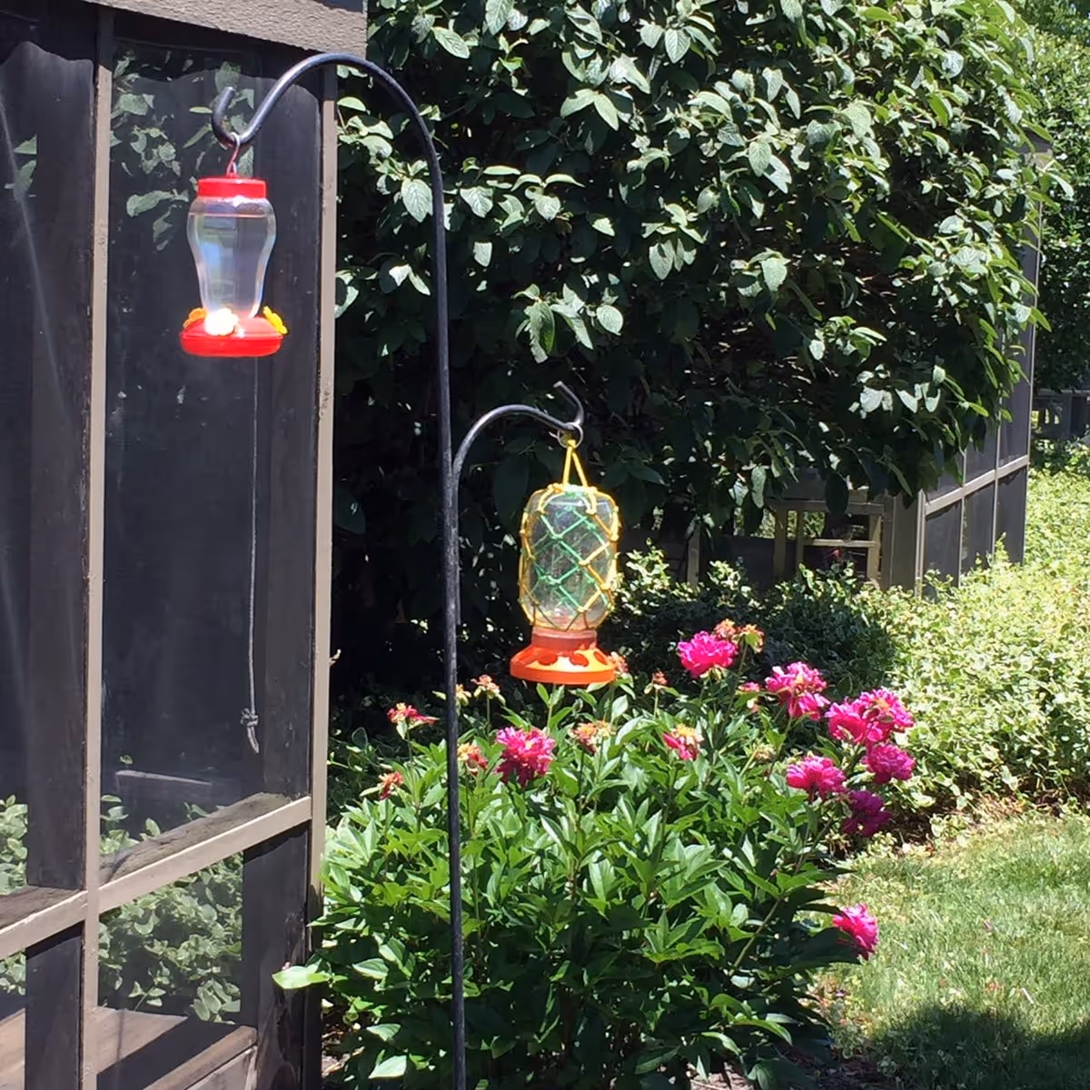 Two bird feeders hanging on metal hooks in a garden area with green bushes and pink flowers near a screened porch.
