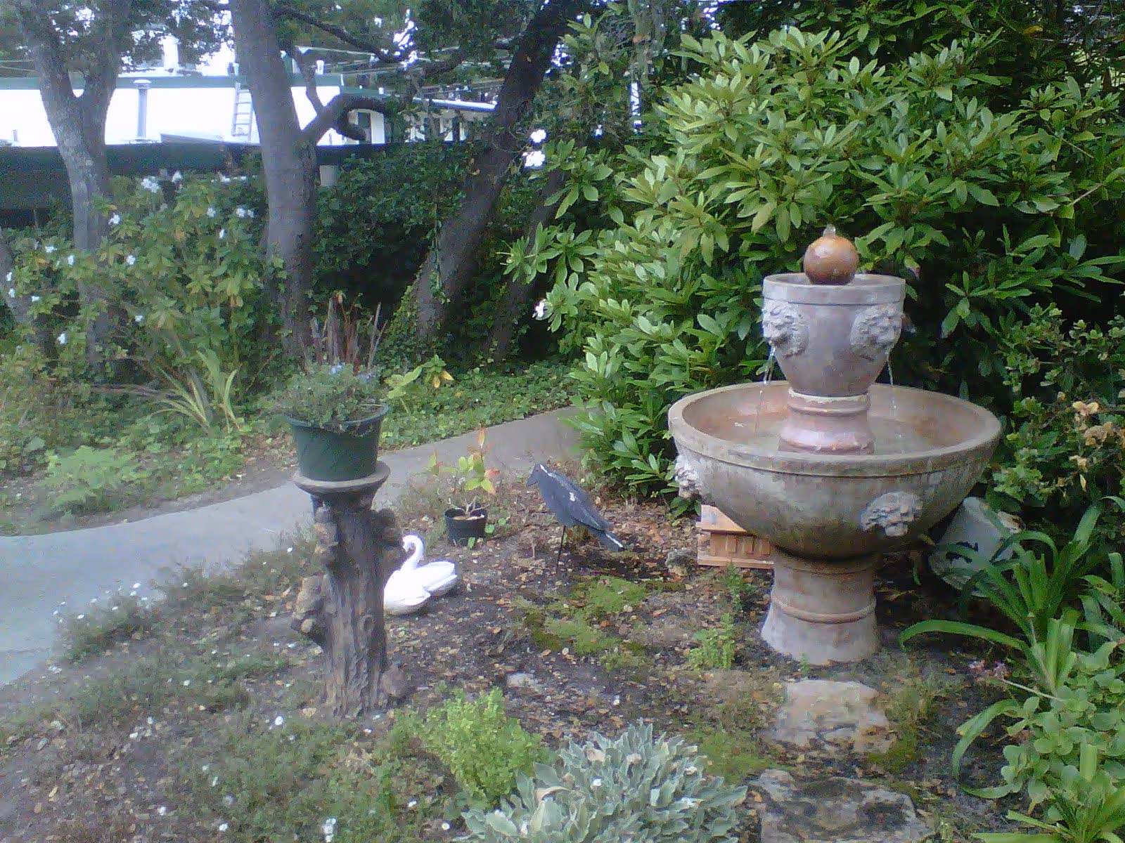 A garden area with a stone water fountain featuring lion head spouts, surrounded by various green plants and bushes. There is a small potted plant on a tree stump, a white swan garden ornament, and a bird statue near the fountain. A paved walkway curves through the garden.