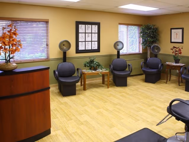 Interior view of a salon area with three black salon chairs equipped with hair dryers. The room has light wood flooring, green and beige walls, two windows with blinds, framed artwork on the walls, and decorative plants on tables and a counter.