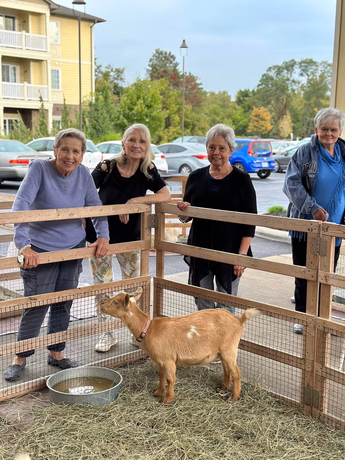 Four elderly women standing outside near a wooden fenced enclosure containing a small brown goat with a water bowl on hay-covered ground. Behind them is a parking lot with several cars and some trees in the background.