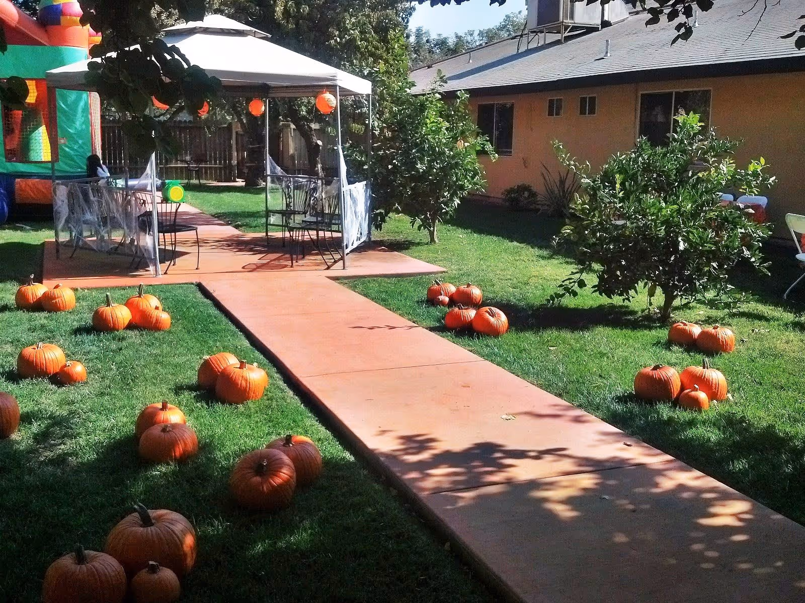 Outdoor courtyard with pumpkins scattered on the grass and a paved walkway leading to a canopy seating area beside a building.