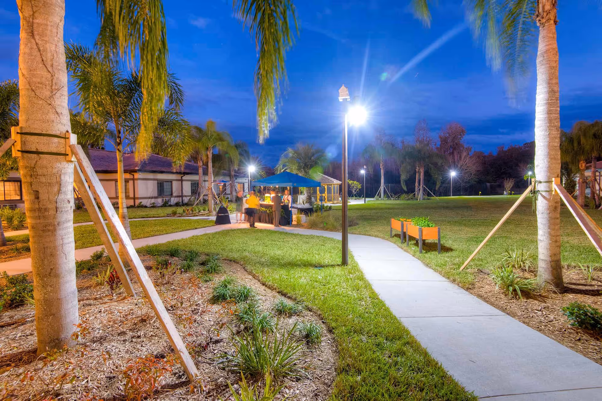 Outdoor evening scene at Inspired Living Sun City Center showing a well-lit walkway surrounded by palm trees and landscaped garden beds. A small group of people is gathered under a blue canopy tent near a building with a tiled roof.