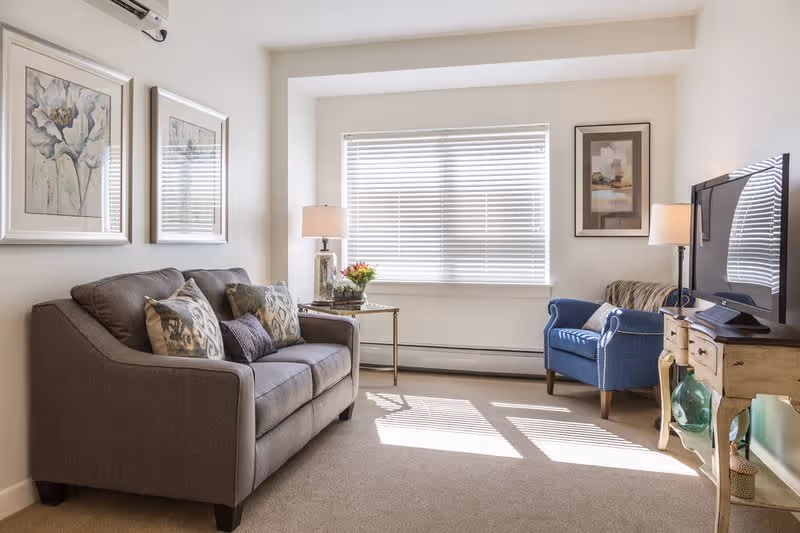 A bright living room with a gray sofa adorned with patterned pillows on the left, a blue armchair on the right, a wooden TV stand with a flat-screen TV, two table lamps, framed artwork on the walls, and a window with white blinds letting in natural light.