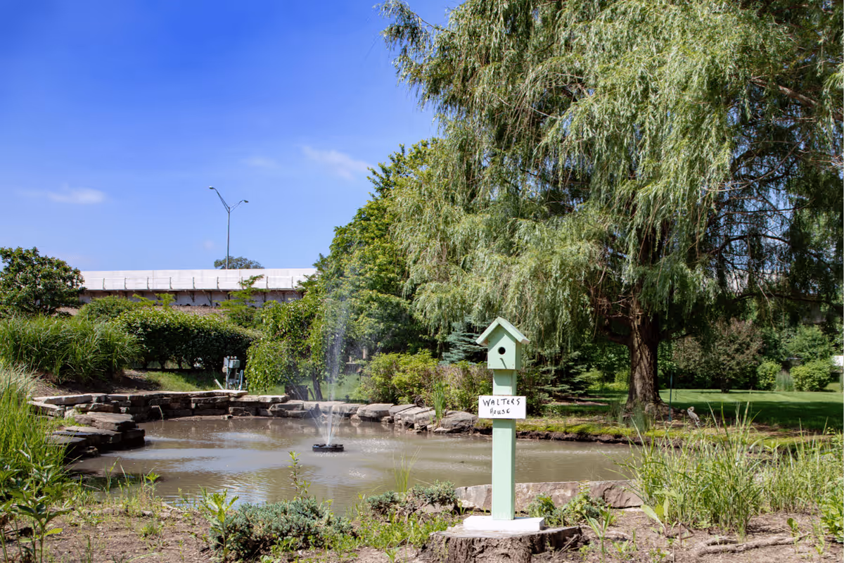 A small pond with a water fountain in the center, surrounded by rocks and greenery. In the foreground, there is a green birdhouse mounted on a post with a sign that reads 'WALTERS HOUSE'. Large trees and bushes are visible in the background under a clear blue sky.