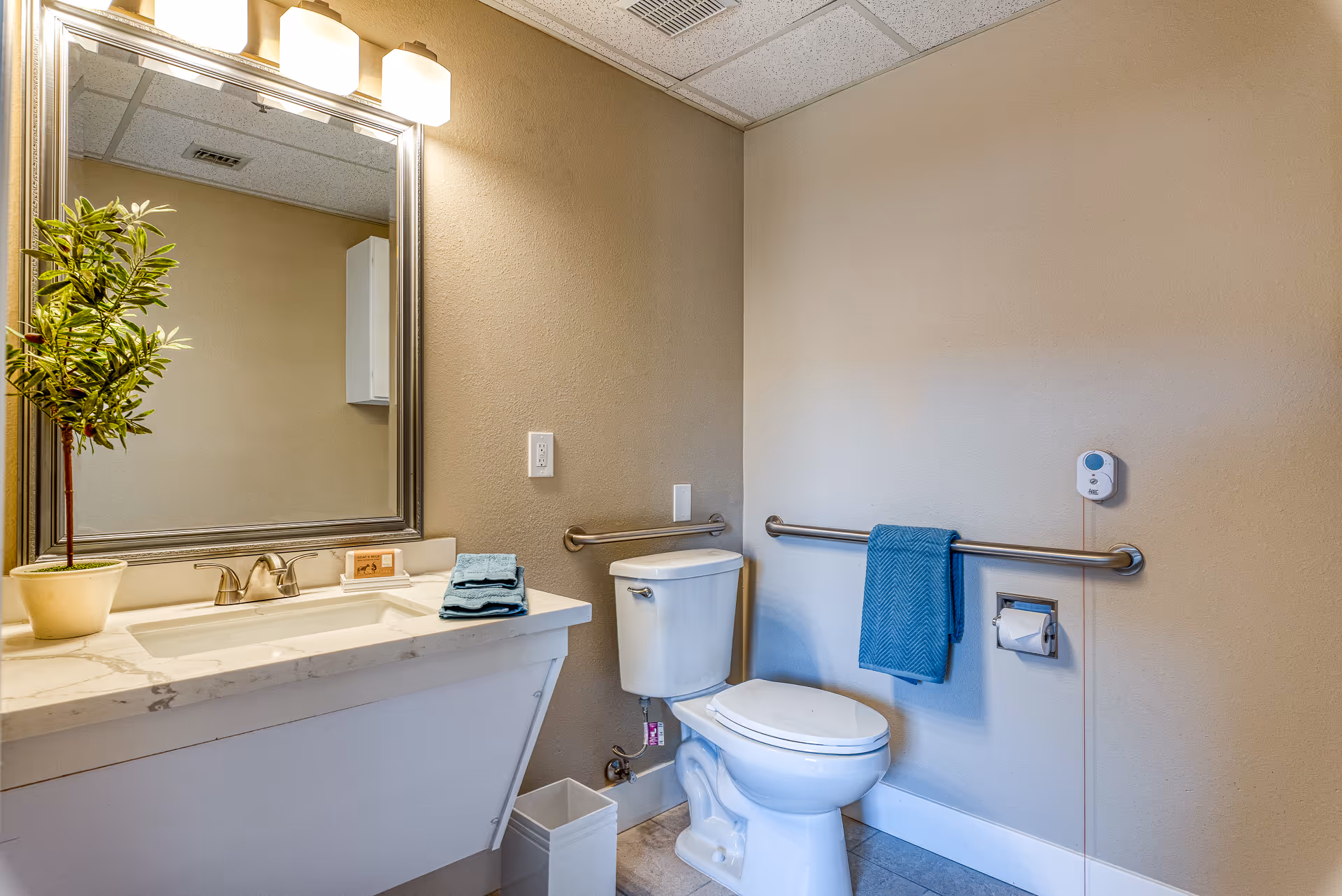 A clean and accessible bathroom with a white toilet, grab bars on the walls, a blue towel hanging on one grab bar, a white sink with a marble countertop, a large mirror above the sink, a potted plant on the countertop, and a waste bin on the floor.