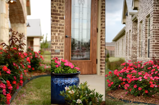 A collage of three images showing the exterior of a brick building with a wooden door and vibrant pink flowers planted along the walkway and in a blue ceramic pot near the entrance.