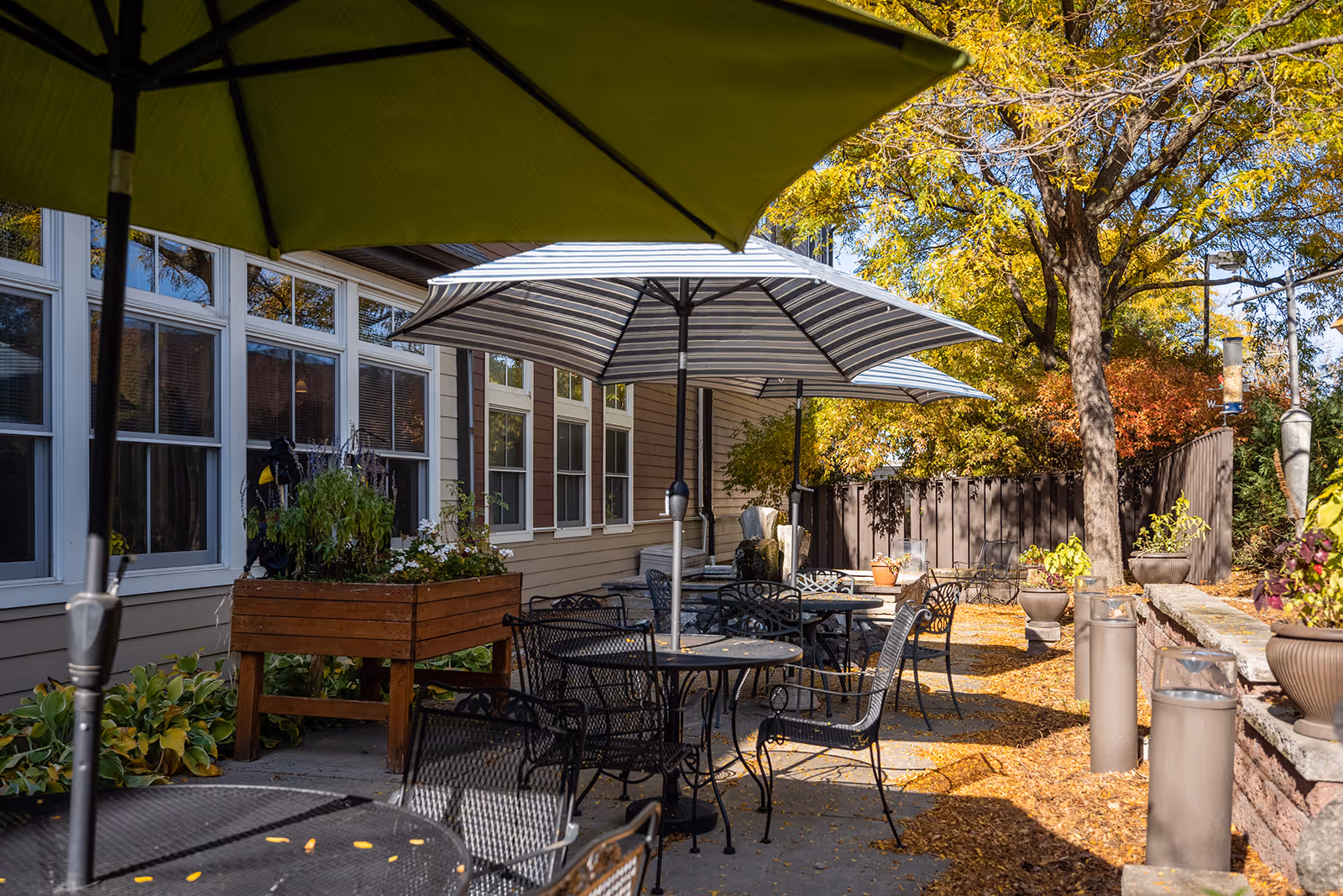 Shaded outdoor patio with metal tables and chairs, large umbrellas, planters, and autumn trees beside a building.
