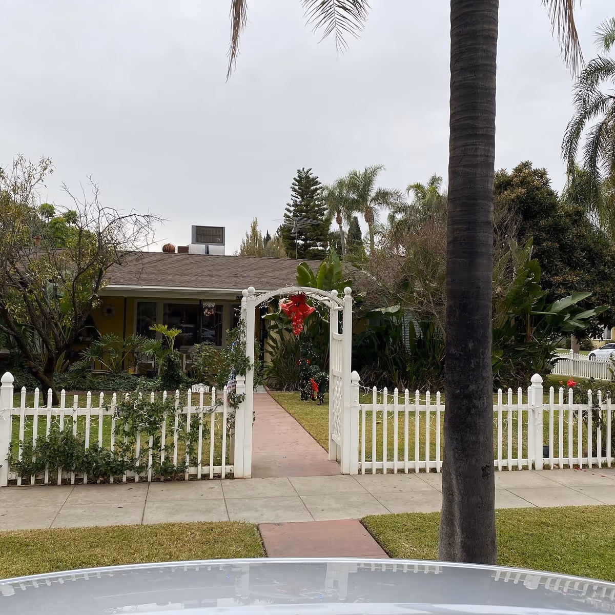 Front view of a single-story house with a white picket fence and a white gate decorated with a red bow. The house is surrounded by greenery including palm trees and bushes, with a concrete walkway leading from the gate to the front door. The sky is overcast.