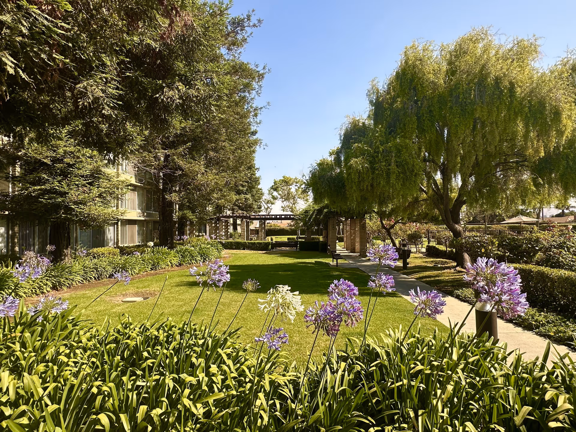 A sunny outdoor garden area at Santa Maria Terrace featuring green grass, purple and white flowers in the foreground, large trees providing shade, a paved walkway, and a pergola with seating in the background.
