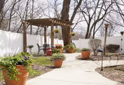 Outdoor garden area with a concrete pathway, several large terracotta pots with green plants and flowers, a wooden pergola with a small table and chairs underneath, surrounded by a white privacy fence and leafless trees in the background.