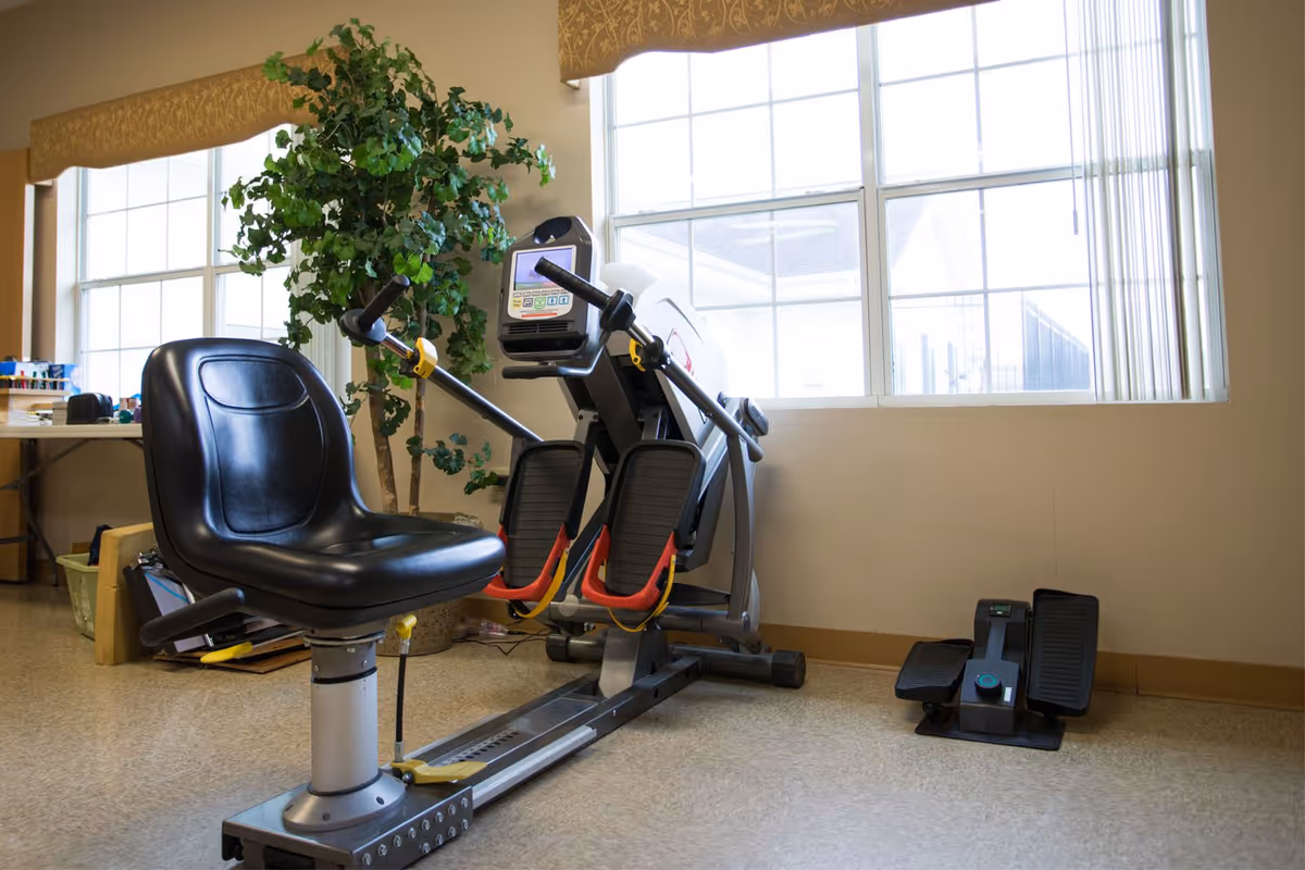 A small exercise room with a recumbent elliptical machine, a stepper, a black seat, and a potted plant by large windows.