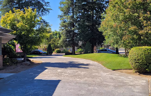 A paved driveway or pathway surrounded by green grass, bushes, and tall trees under a clear blue sky, with parts of buildings and parked cars visible in the background.