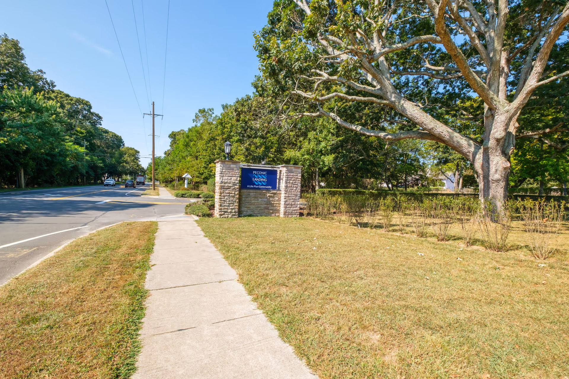 Sidewalk leading to a stone entrance sign for Peconic Landing beside a large tree and a roadway.