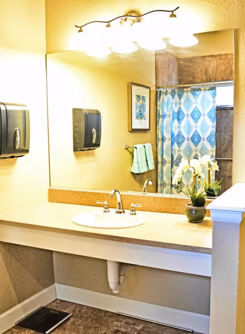 A clean bathroom sink area with a large mirror above the countertop. The sink has a silver faucet and two handles. On the countertop, there is a small potted plant with white flowers. The mirror reflects a shower area with a blue and white patterned shower curtain, a towel rack with two folded green towels, and a framed picture on the wall. There are two black wall-mounted soap or paper towel dispensers on the left side of the mirror. The floor has a dark tile pattern and a black scale is visible on the floor near the corner.