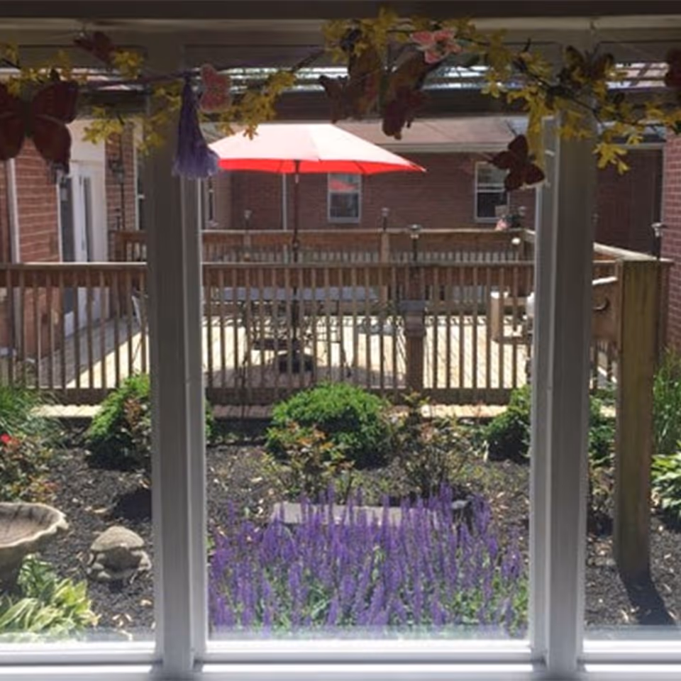 View through a window of a courtyard garden with purple flowers, shrubs, a wooden deck and a red patio umbrella.