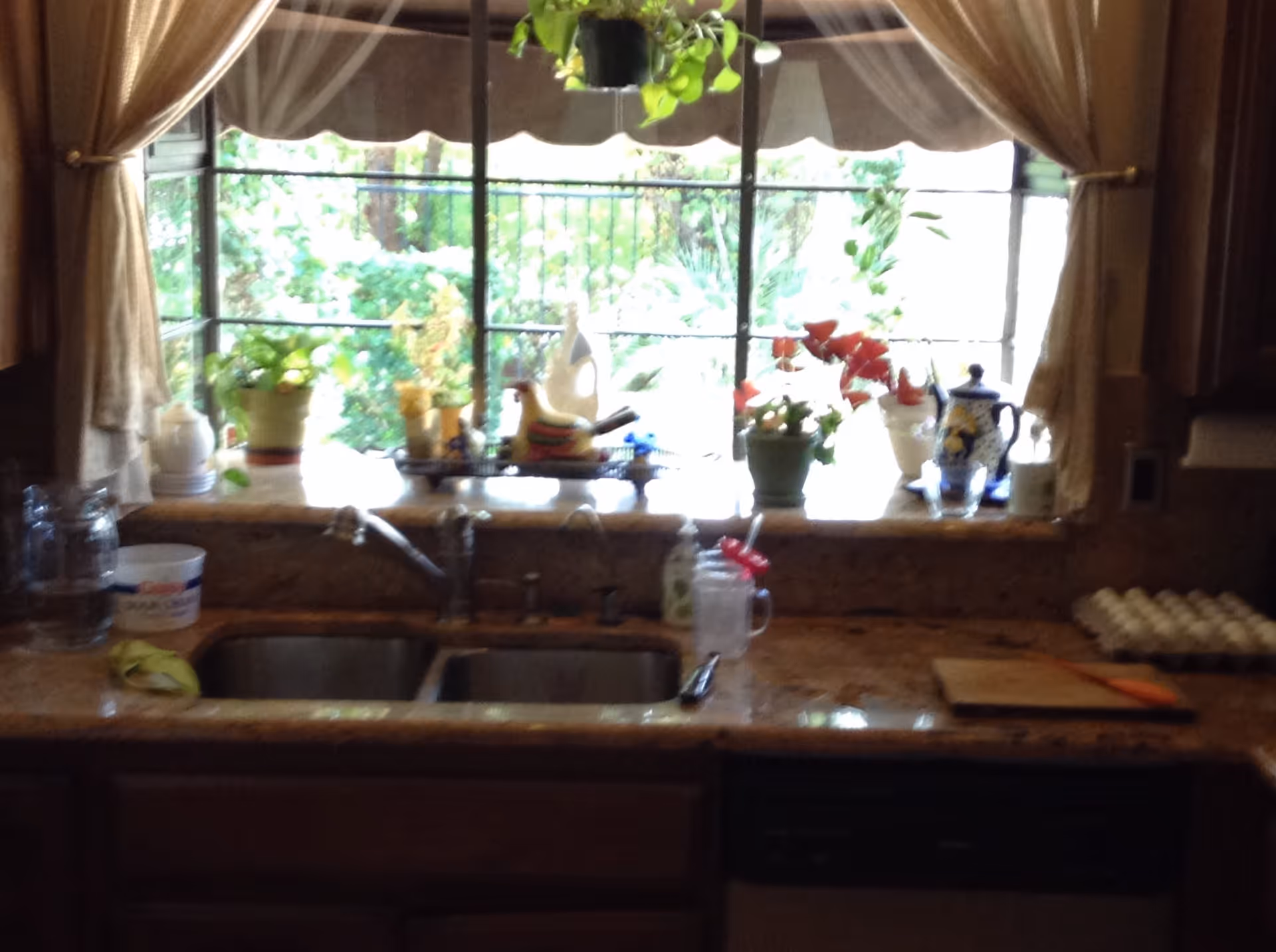 A kitchen sink area with a double stainless steel sink, a faucet, and a countertop with various items including a cutting board with a knife, a carton of eggs, a glass jar with a straw, and several potted plants on the windowsill. The window behind the sink has sheer curtains and looks out onto a green garden.