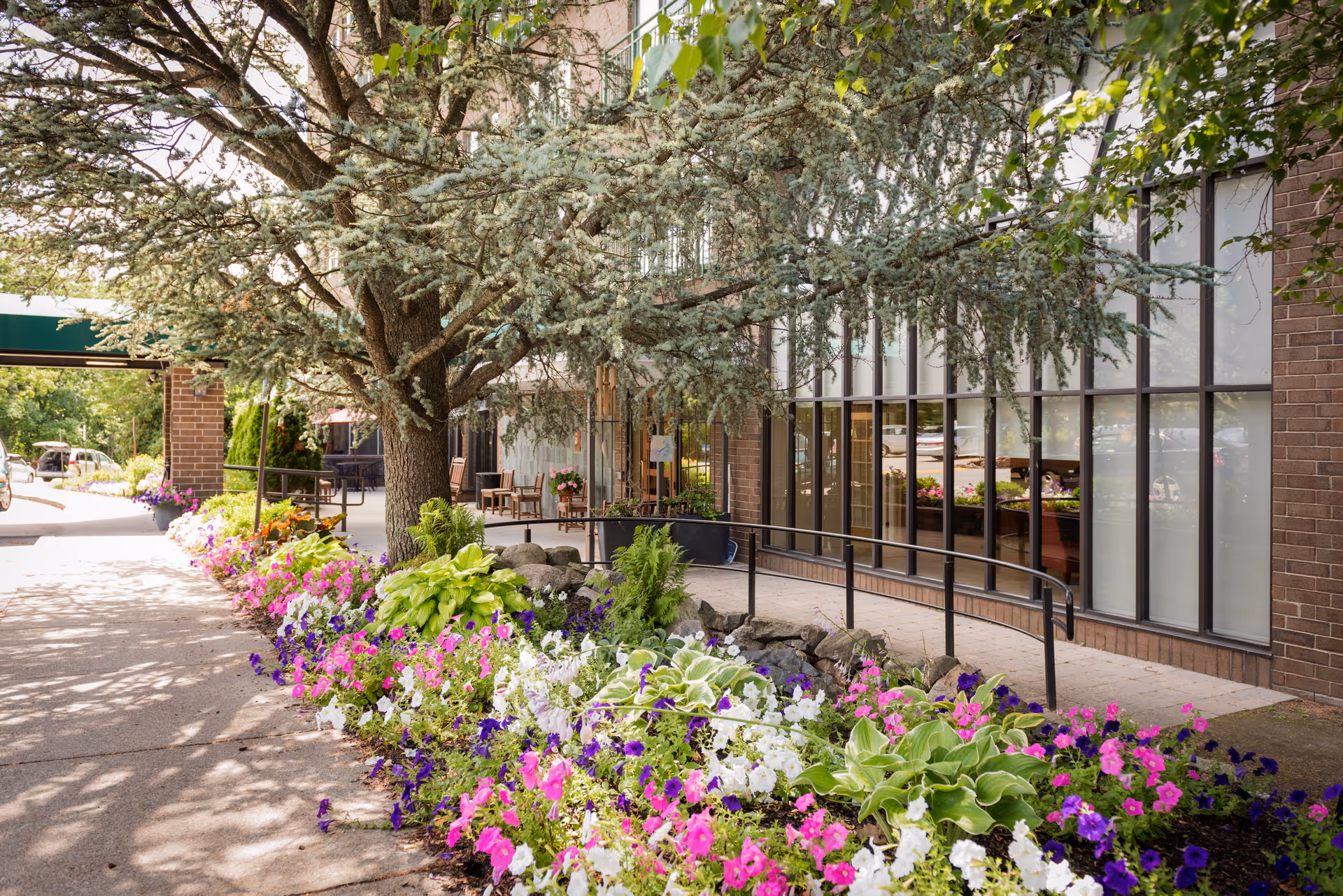 Outdoor garden area at AVIVA Country Club Heights featuring a variety of colorful flowers and plants along a walkway. A large tree provides shade over the garden bed. The building exterior with large windows and a brick facade is visible on the right side, with a wheelchair accessible ramp leading to the entrance.