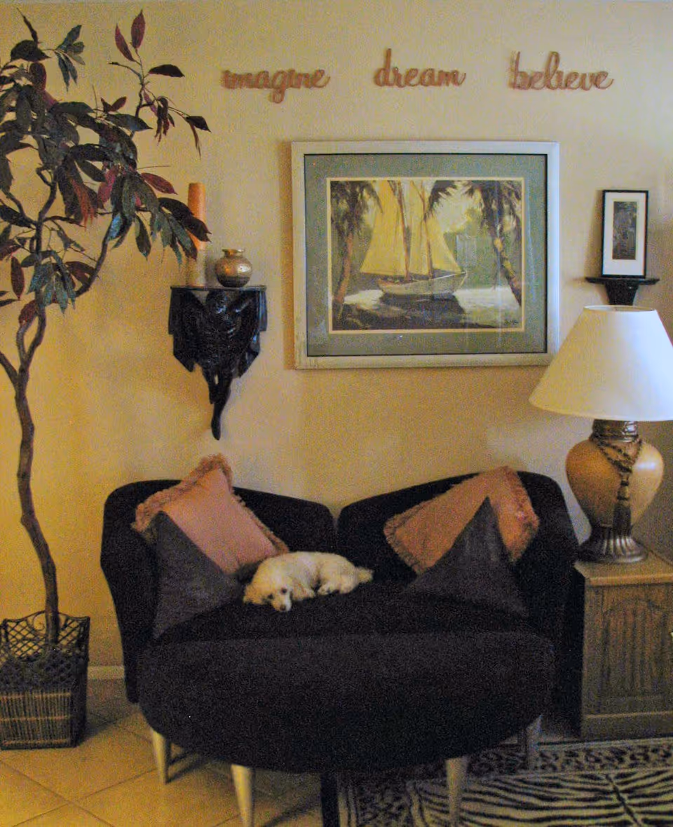 A cozy living room corner with a dark loveseat adorned with four pillows and a small white dog sleeping on it. Above the loveseat, there is a framed painting of a sailboat and the words 'imagine dream believe' mounted on the wall. To the left, there is a tall potted plant, and to the right, a wooden side table with a large lamp and a small framed picture on a wall shelf.