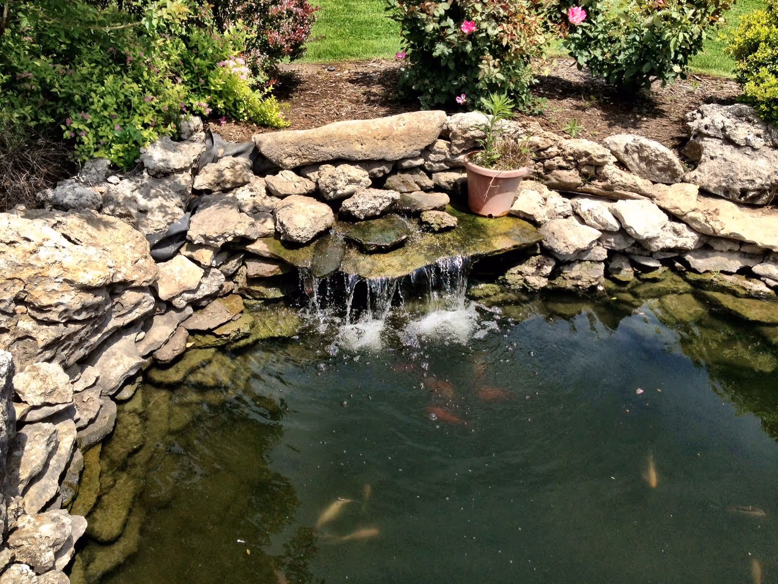 A small garden pond with a rock waterfall feature surrounded by stones and plants, including a potted plant on the edge and flowering bushes in the background.