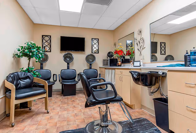 Interior of a salon room with black salon chairs, hair dryers mounted on the wall, a large mirror above a counter with cabinets, a sink, a potted plant, and a flat-screen TV on the wall.