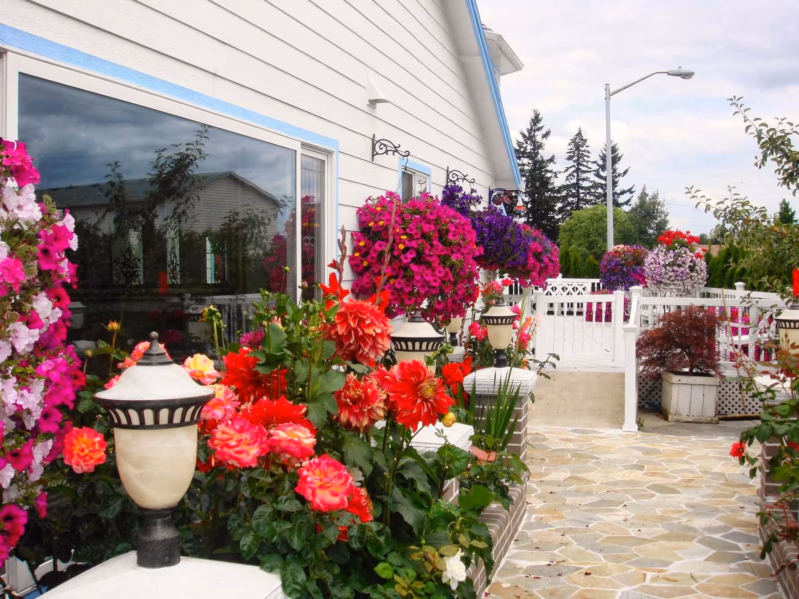 A colorful outdoor walkway beside a white building lined with hanging baskets and flowering plants.