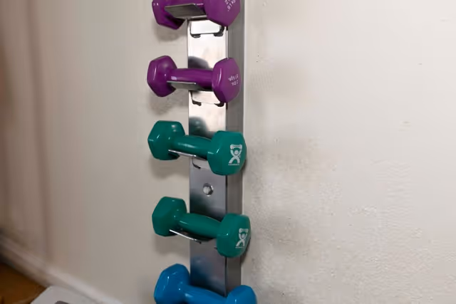 A vertical metal rack holding colorful small dumbbells (purple, green, blue) mounted against a white wall.