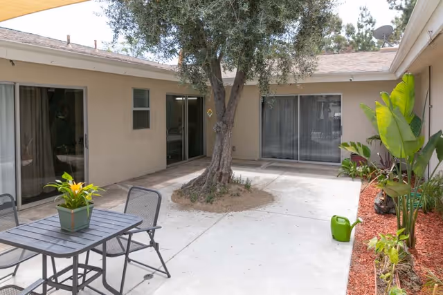 Paved courtyard with a central tree, patio table and chairs, sliding glass doors to adjacent rooms, and potted plants along the edge.