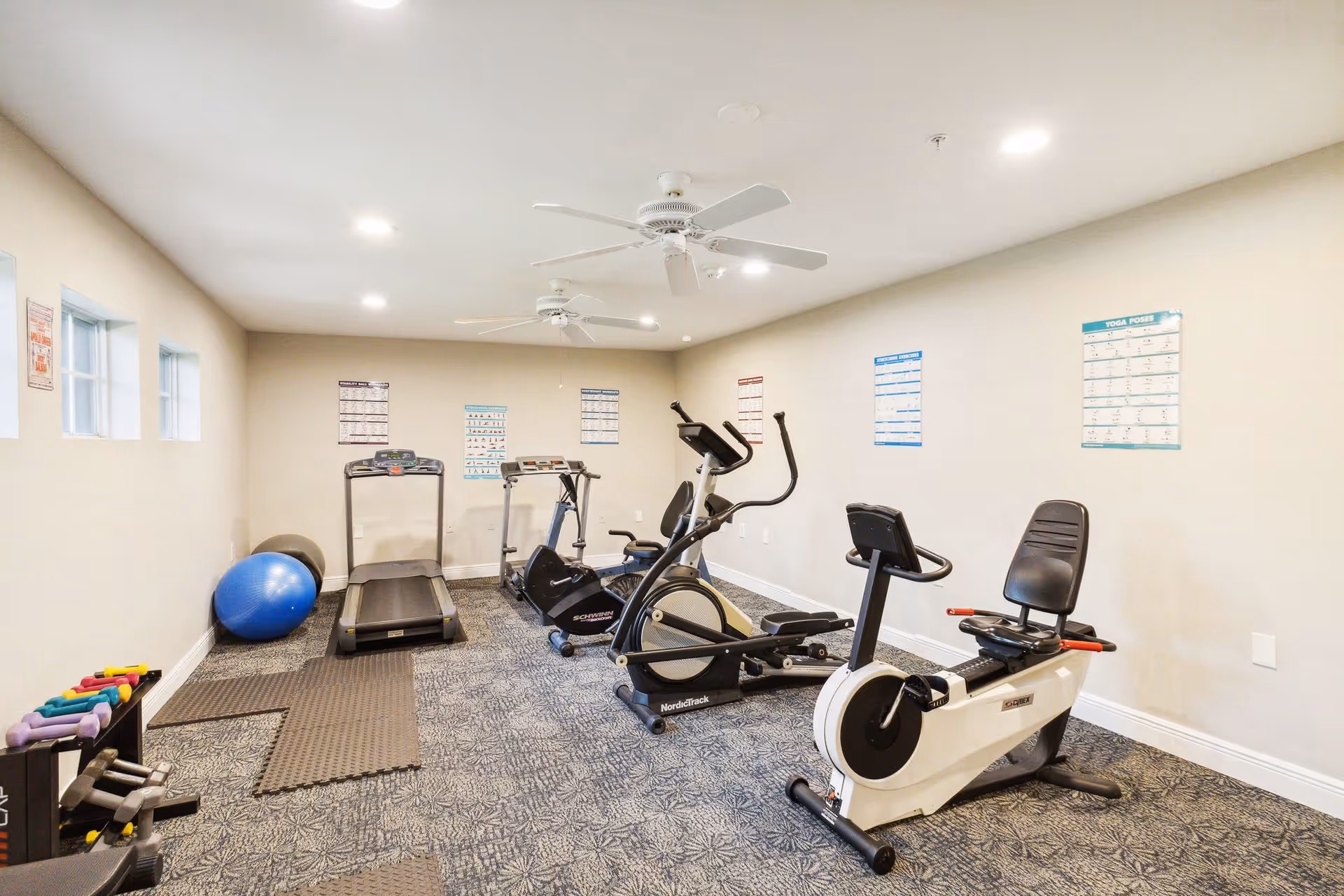 A well-equipped gym featuring various exercise machines including treadmills, ellipticals, and stationary bikes, with fitness posters on the walls and a blue exercise ball in the corner.