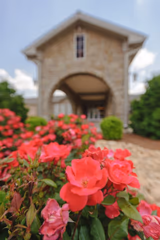 Close-up view of vibrant pink flowers in the foreground with a stone building featuring an arched entrance and a peaked roof in the background, under a partly cloudy sky.
