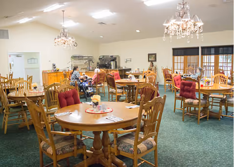 A spacious dining room with multiple round wooden tables and chairs, some with red cushioned seats. Several elderly individuals are seated at the tables, engaged in conversation or activities. The room has green carpet flooring, chandeliers hanging from the ceiling, and a kitchen area in the background with appliances and cabinets.