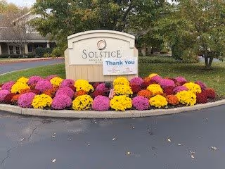 Entrance sign for Solstice Senior Living surrounded by bright pink, yellow, and burgundy mums with trees and a driveway in the background.