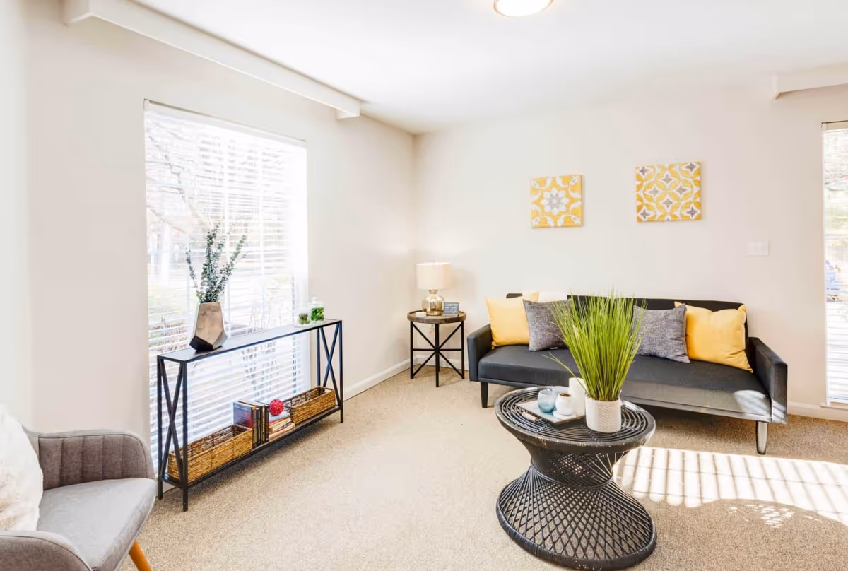 A bright and cozy living room with a black sofa adorned with yellow and gray pillows, a round black coffee table with a potted plant, a side table with a lamp, and a console table with decorative items in front of a large window with blinds.