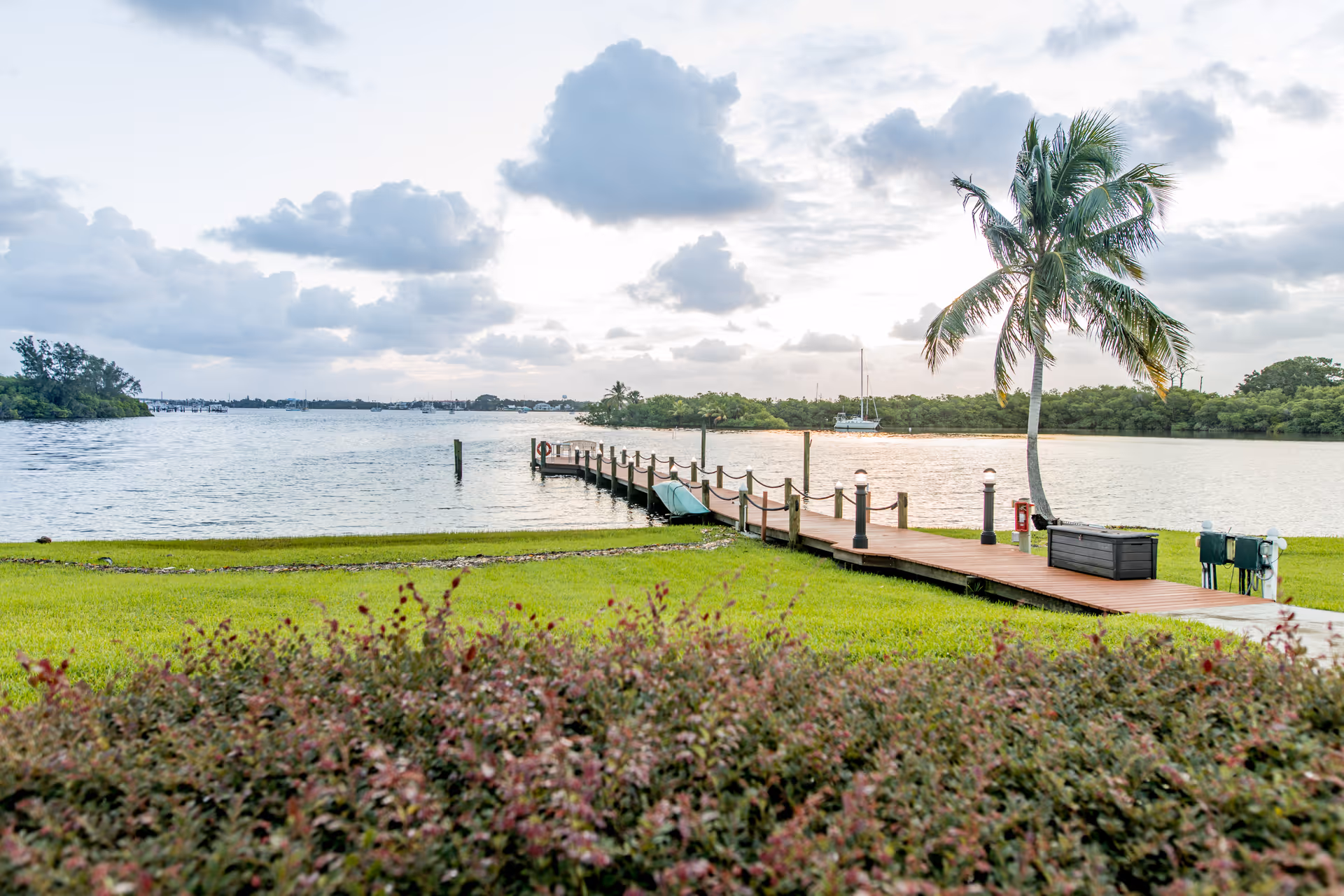 A wooden dock extends over a calm waterfront beside a palm tree with a grassy lawn and cloudy sky.