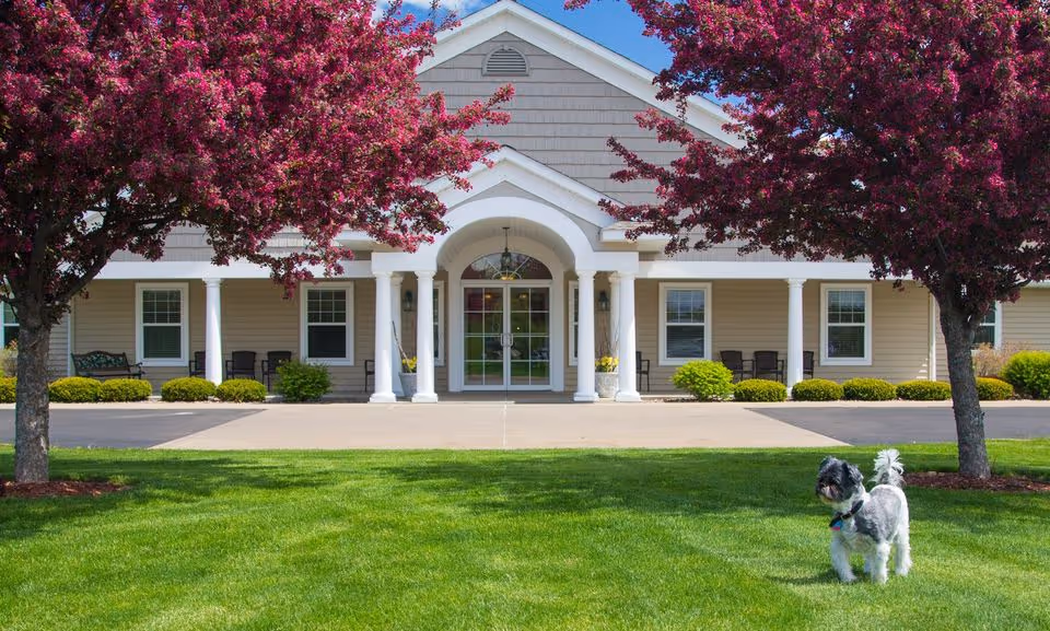 Front exterior view of a single-story building with beige siding and white columns at the entrance. Two trees with pink blossoms frame the entrance, and a small black and white dog stands on the green lawn in the foreground.