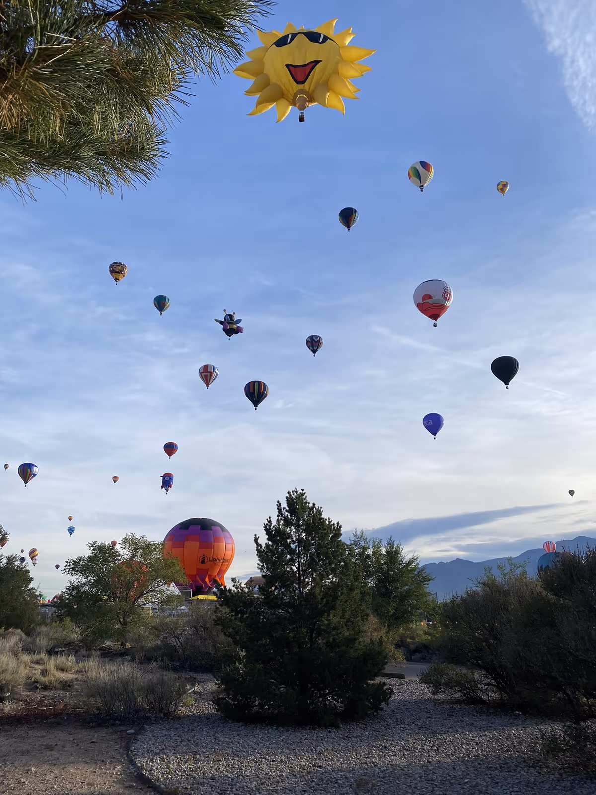 Numerous colorful hot air balloons, including a large sun-shaped balloon, float over a scrubby landscape with trees and distant mountains.