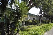 Exterior view of a single-story healthcare building with a covered walkway, palm trees, and landscaped shrubs.