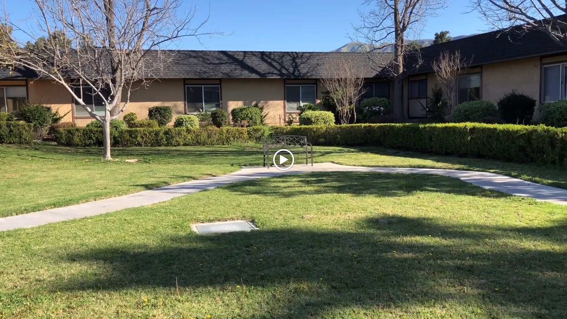 Sunlit courtyard with a grassy lawn, paved walkways, and a bench in front of a single-story building.