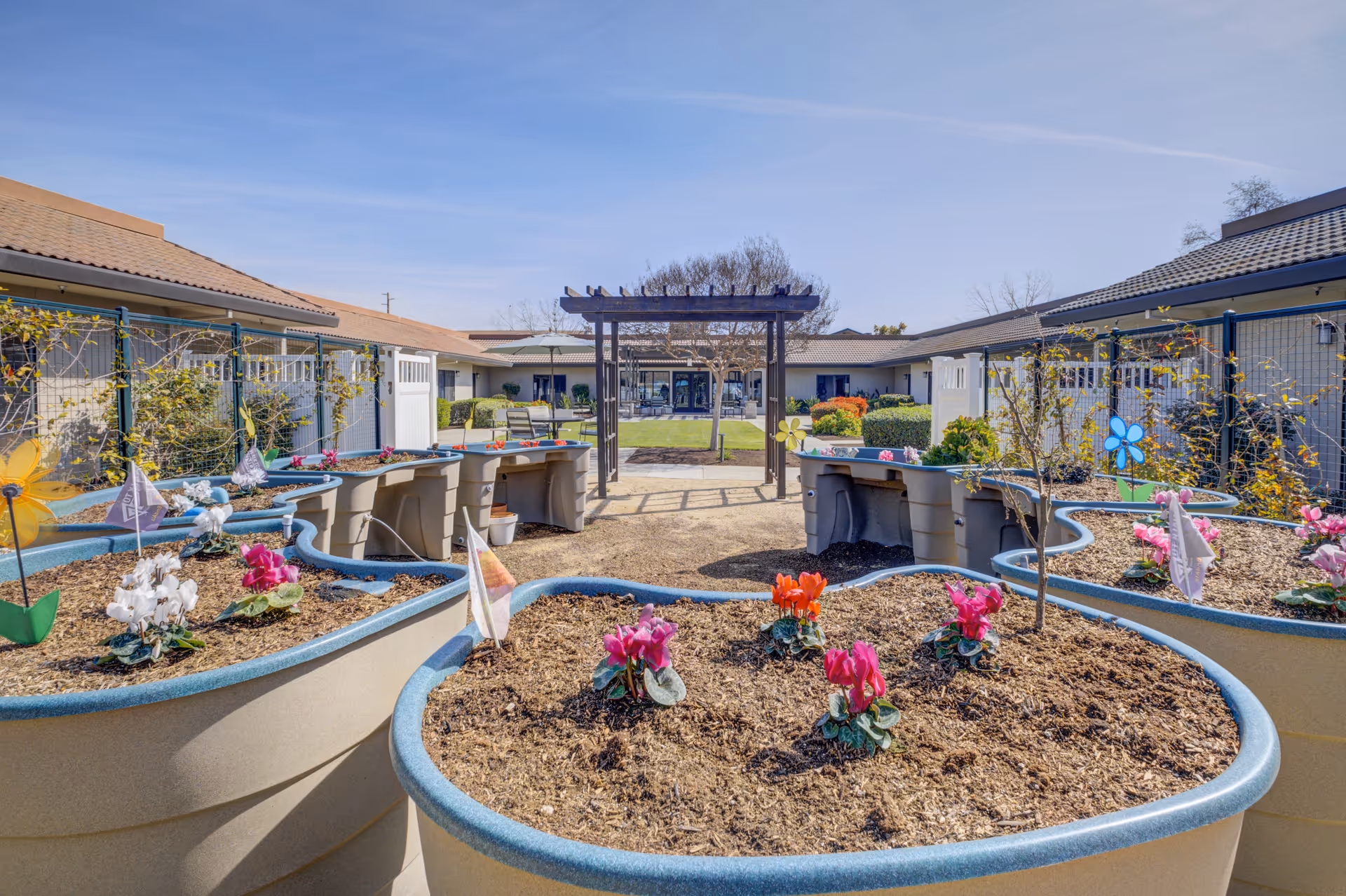 Raised planter beds with blooming flowers in a sunny courtyard featuring a pergola and surrounding single-story assisted living buildings.