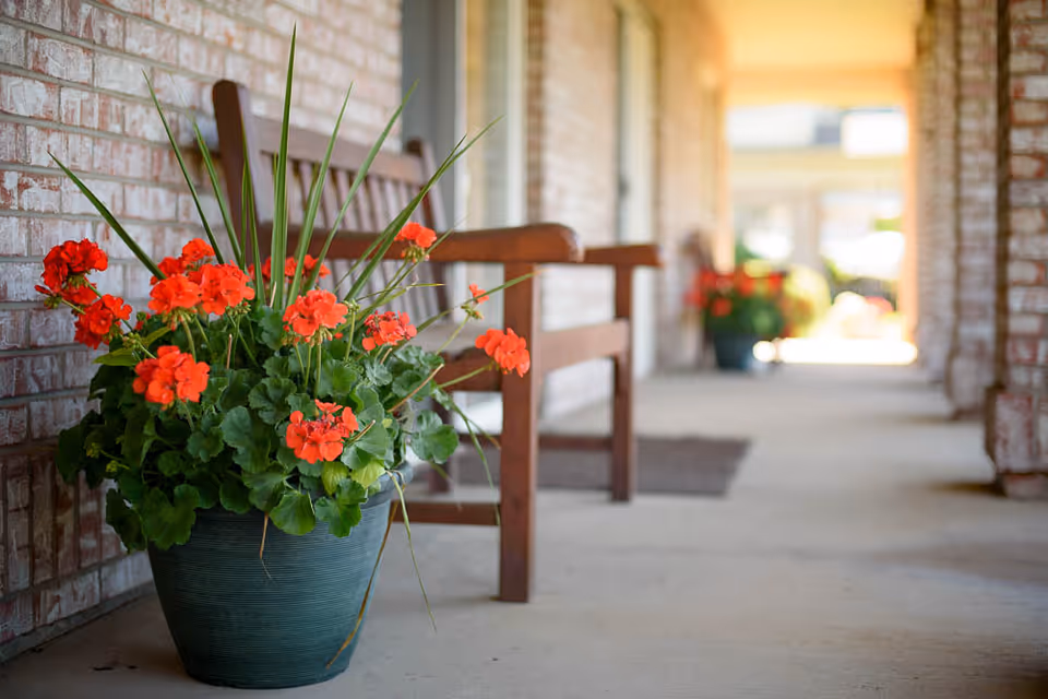 Potted red geraniums beside a wooden bench on a covered brick-front walkway.