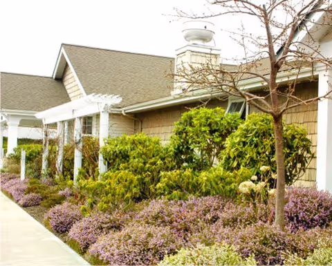 Exterior view of a building with beige siding and a shingled roof, surrounded by landscaped bushes, purple flowering plants, and a leafless tree. A white pergola structure is visible along the walkway beside the building.