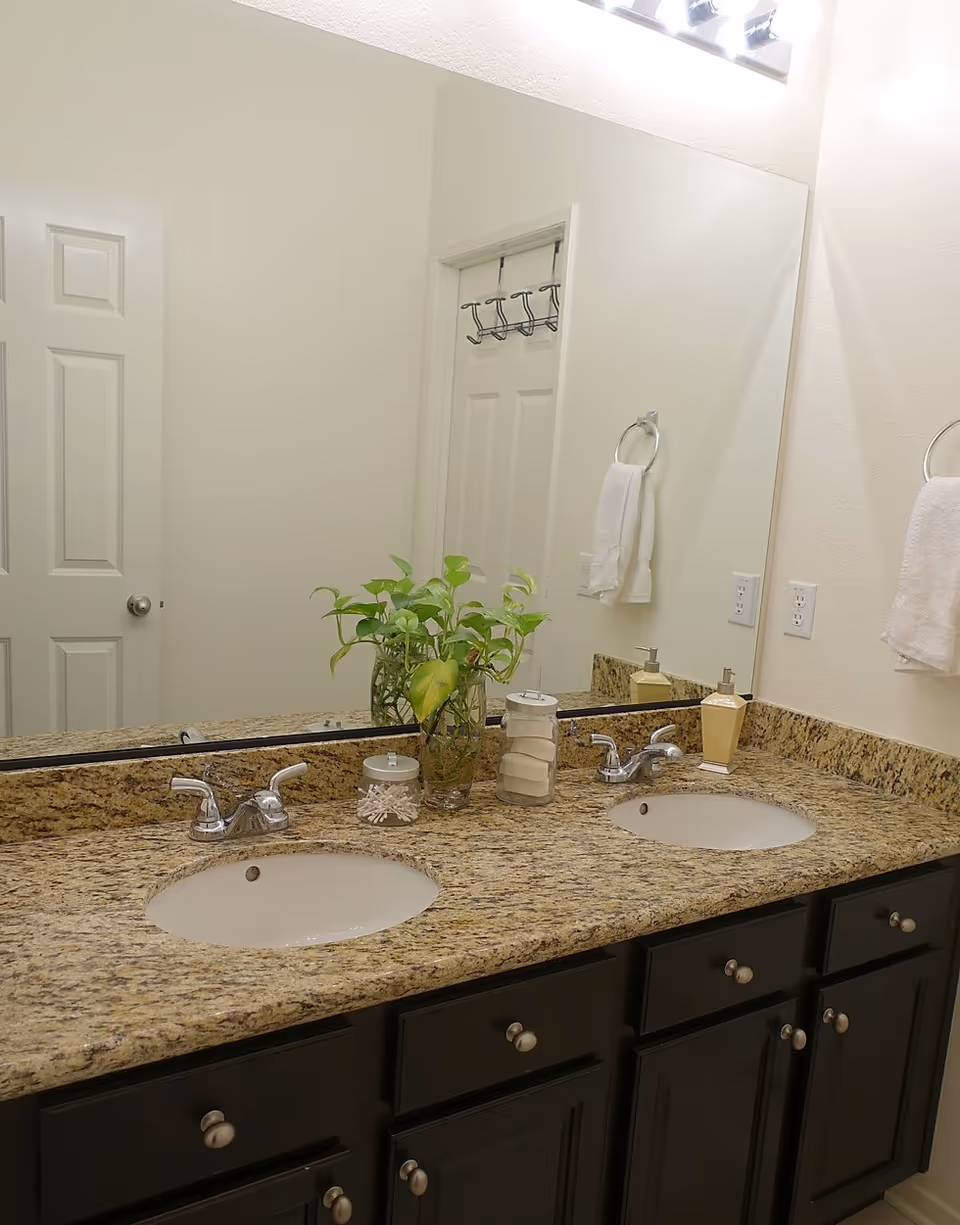 Double-sink bathroom vanity with a granite countertop, large mirror, plant and toiletries.