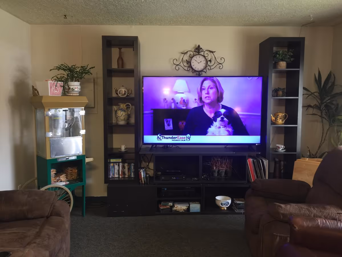 A cozy living room area with a large flat-screen TV mounted on a black entertainment center. The TV displays a woman holding a small dog with a banner reading 'ThunderEase Insanely Calm.' On either side of the TV are tall black shelves with decorative items such as teapots, cups, and plants. To the left, there is a popcorn machine with a popcorn container on top. Two brown upholstered chairs are partially visible in the foreground. A decorative clock hangs on the wall above the TV.
