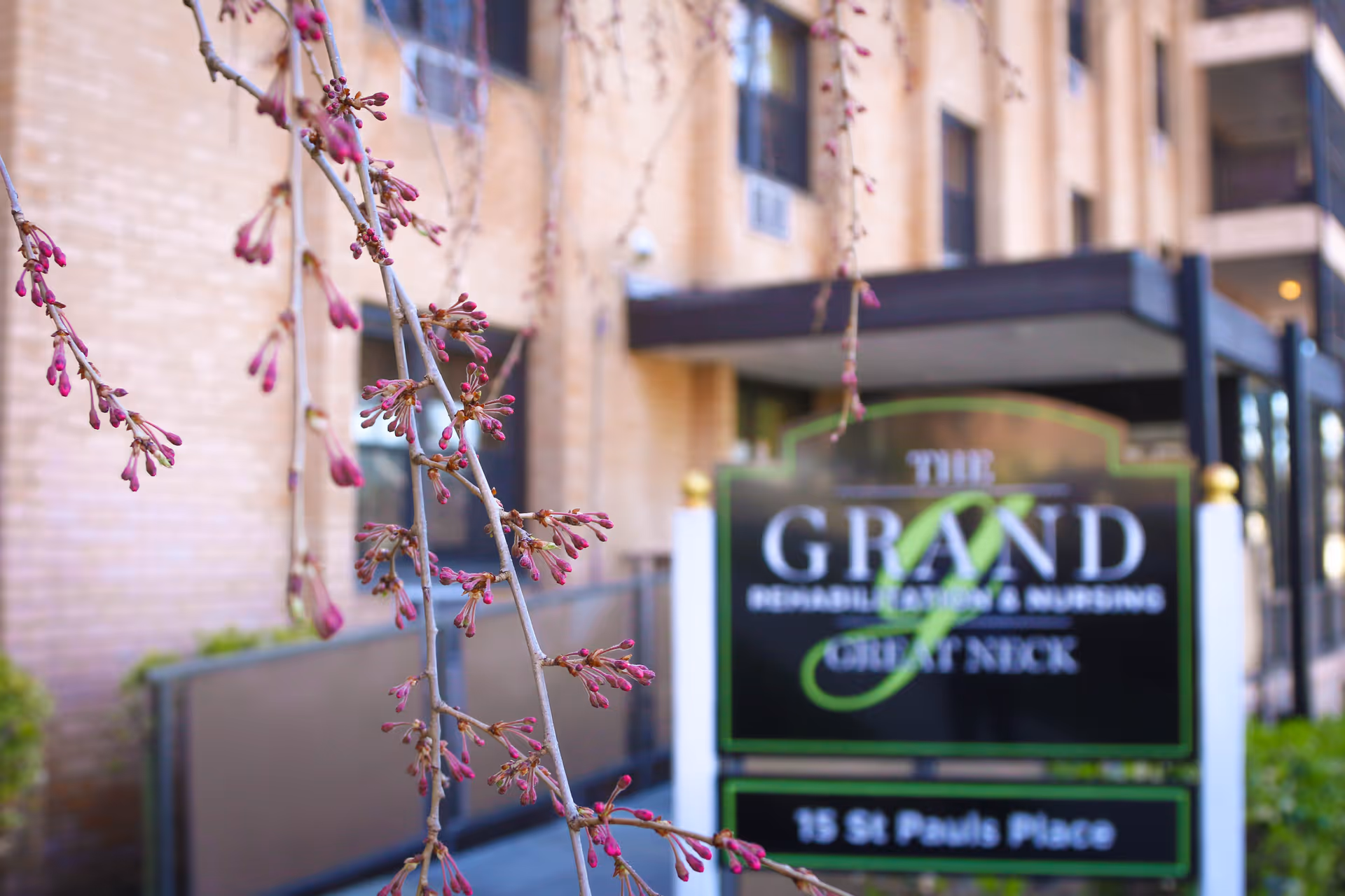Budding tree branches in front of the entrance sign and facade of The Grand Rehabilitation and Nursing at Great Neck.
