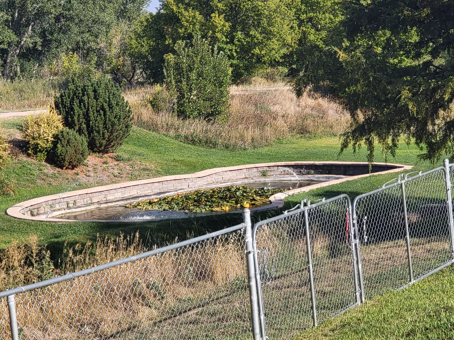 An outdoor garden area with a small, curved pond containing lily pads and a water fountain. The pond is surrounded by grass, bushes, and trees, with a chain-link fence in the foreground.