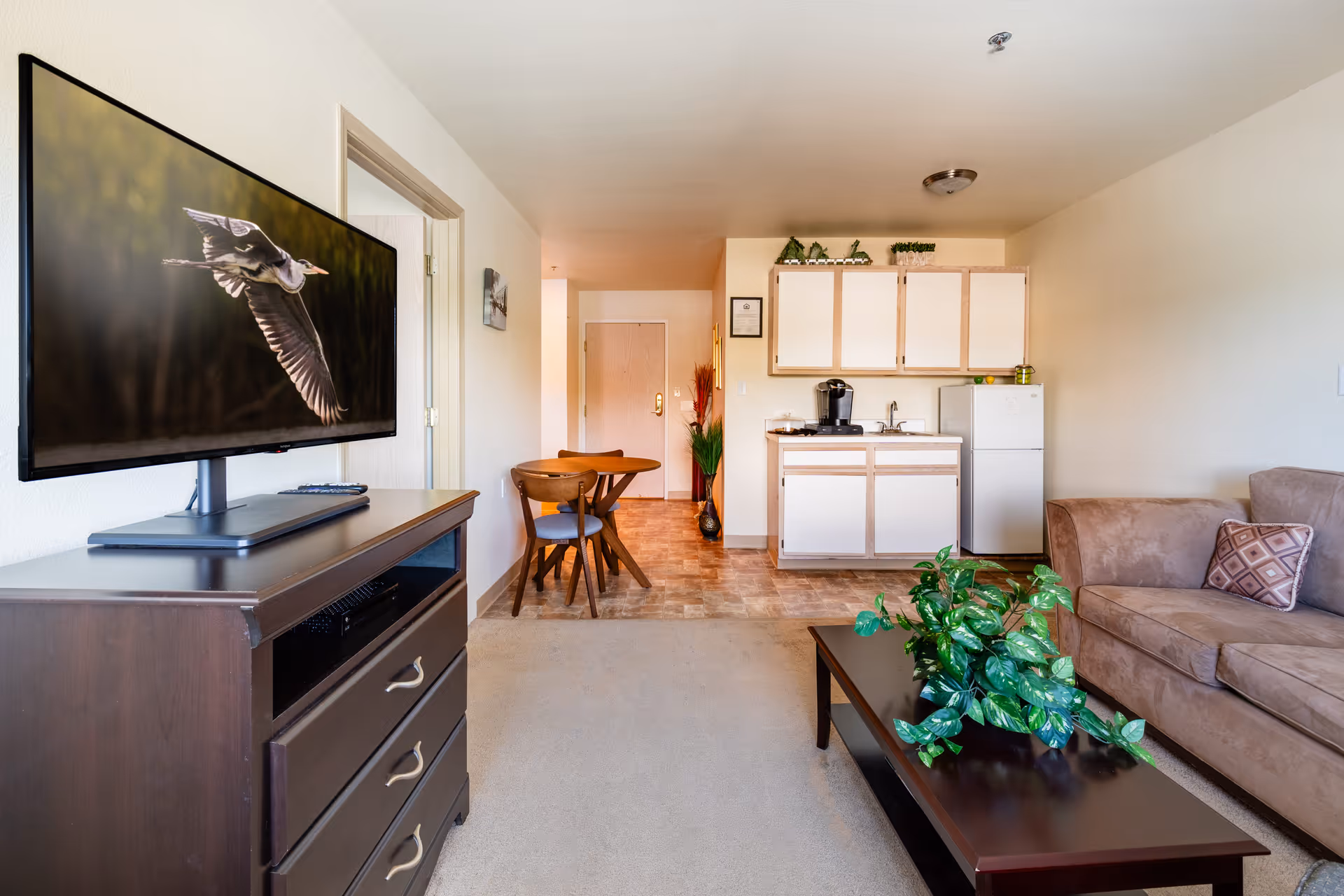 Interior view of a retirement community apartment featuring a living area with a brown sofa and a coffee table with a green plant. A flat-screen TV on a dark wooden dresser displays an image of a flying bird. In the background, there is a small kitchen area with white cabinets, a sink, a coffee maker, and a refrigerator. A small dining table with two chairs is positioned near the entrance door.