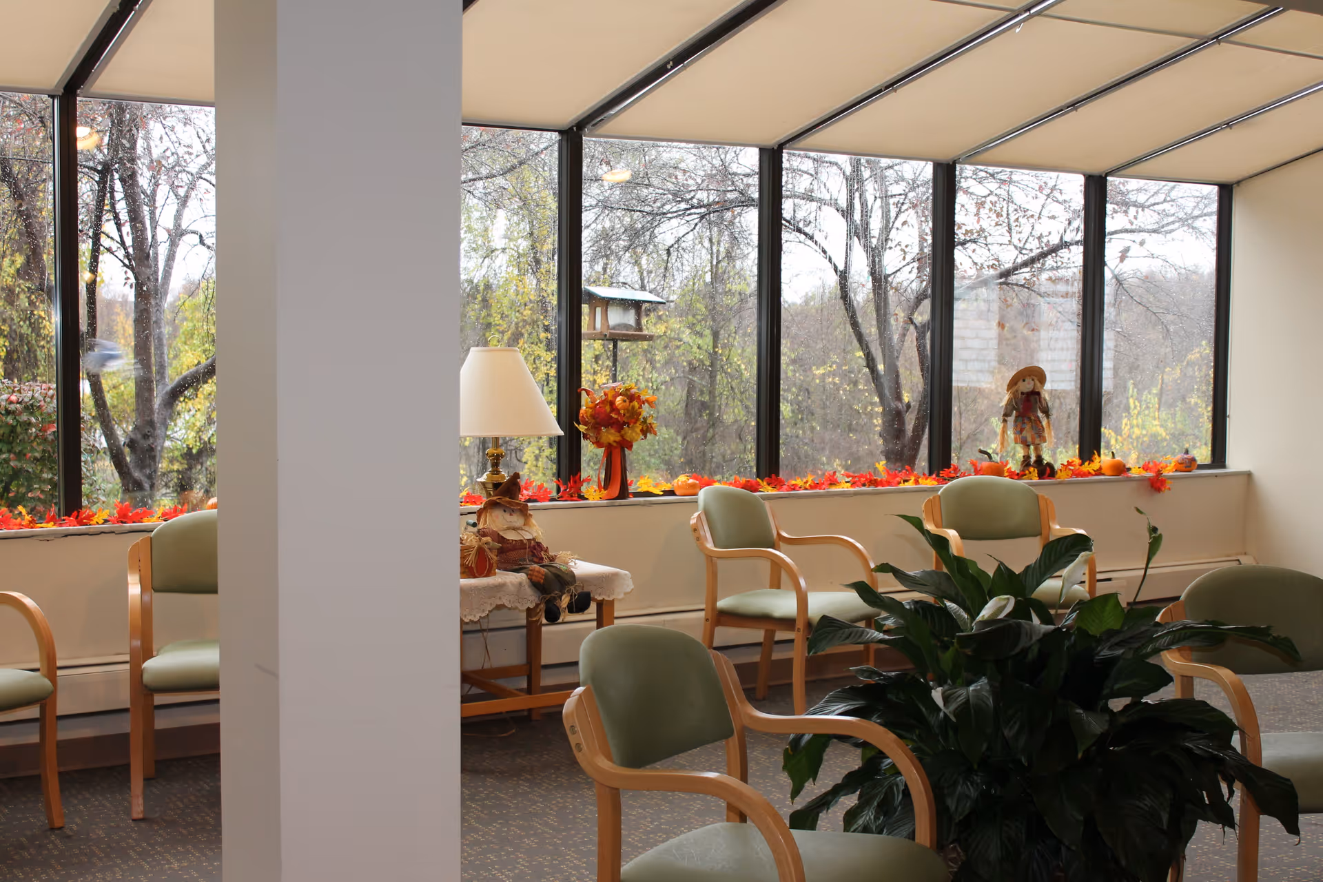 A cozy seating area with several light green cushioned chairs arranged around a large indoor plant. The room has large windows showing trees outside and a windowsill decorated with autumn leaves, small pumpkins, a vase with fall flowers, and two scarecrow dolls. A small table with a lamp and another scarecrow doll is also visible.